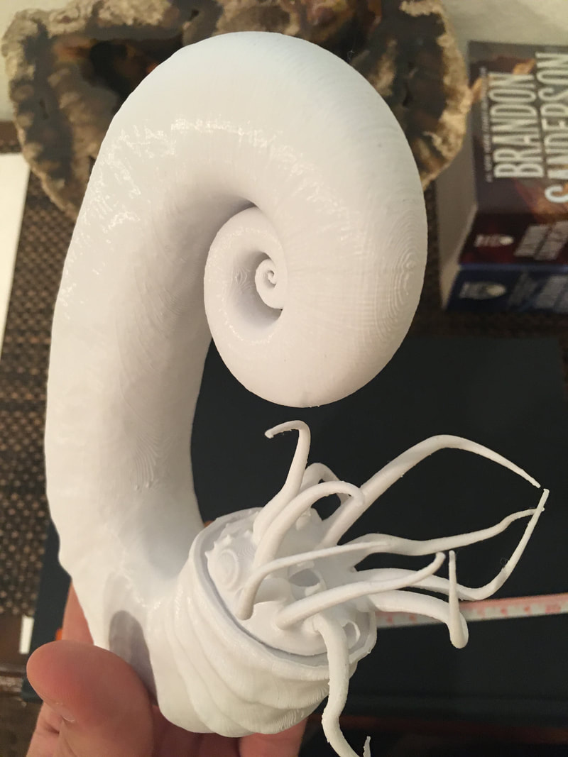 Peterman heteromorph ammonite 3D print