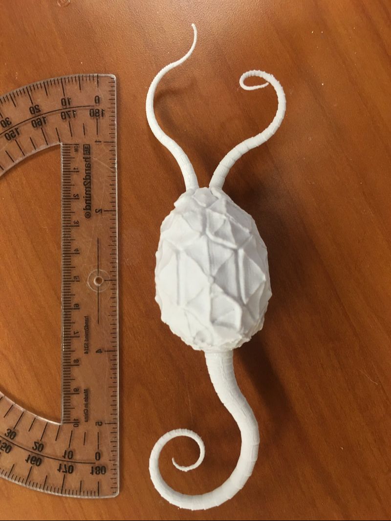 Peterman cystoid 3D print