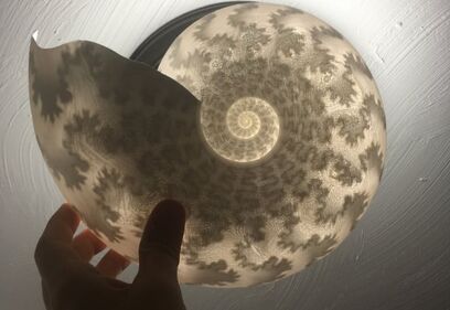 Peterman ammonite suture 3D print