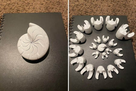 Peterman aturia chamber 3D print